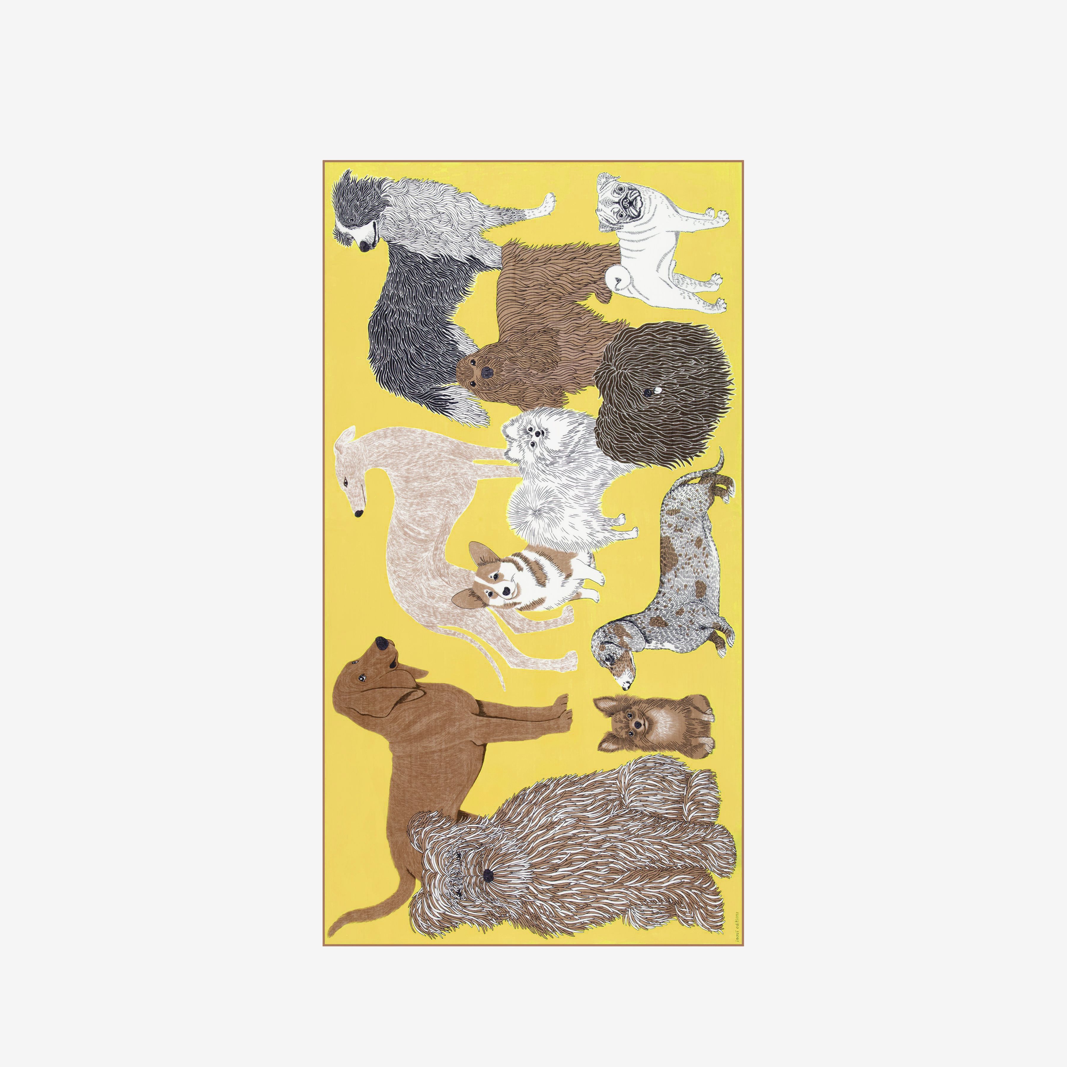 Écharpe 100 Coton - Toutou - Jaune