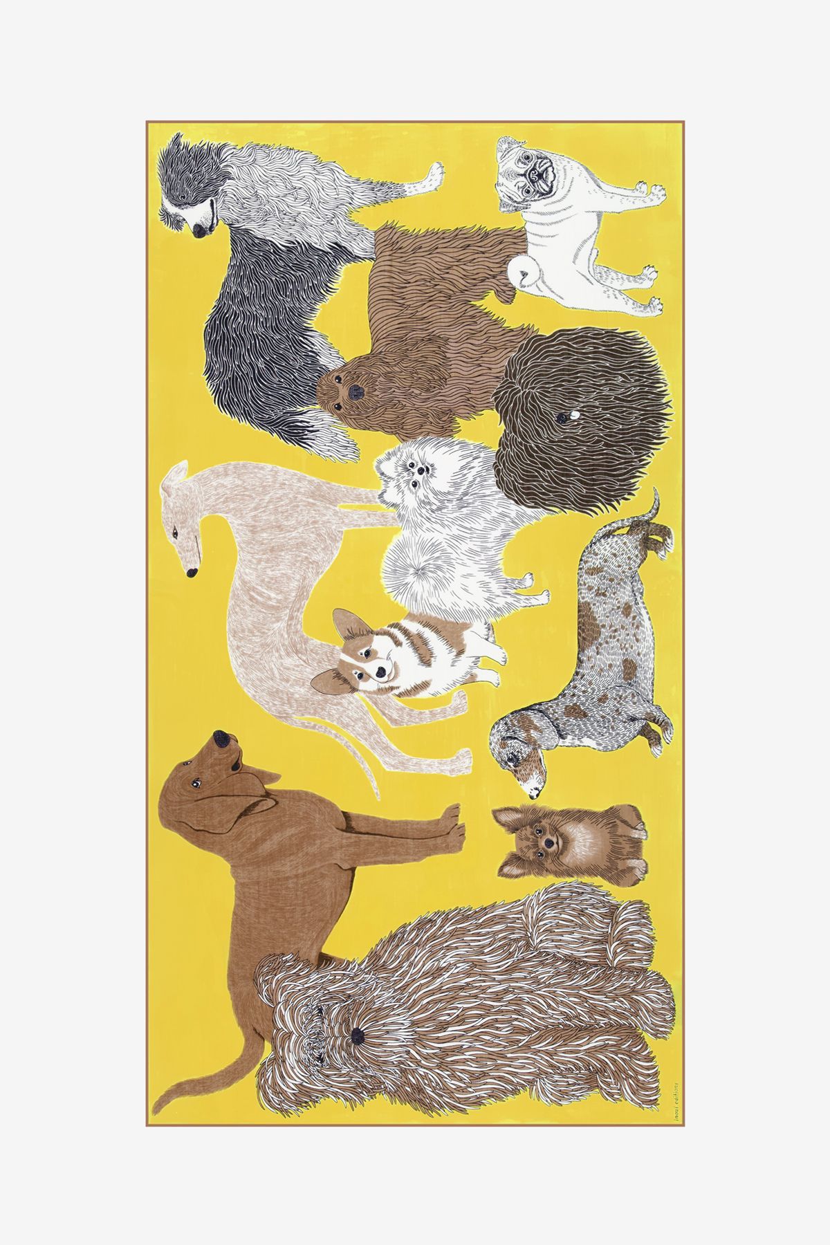 Écharpe 100 Coton - Toutou - Jaune