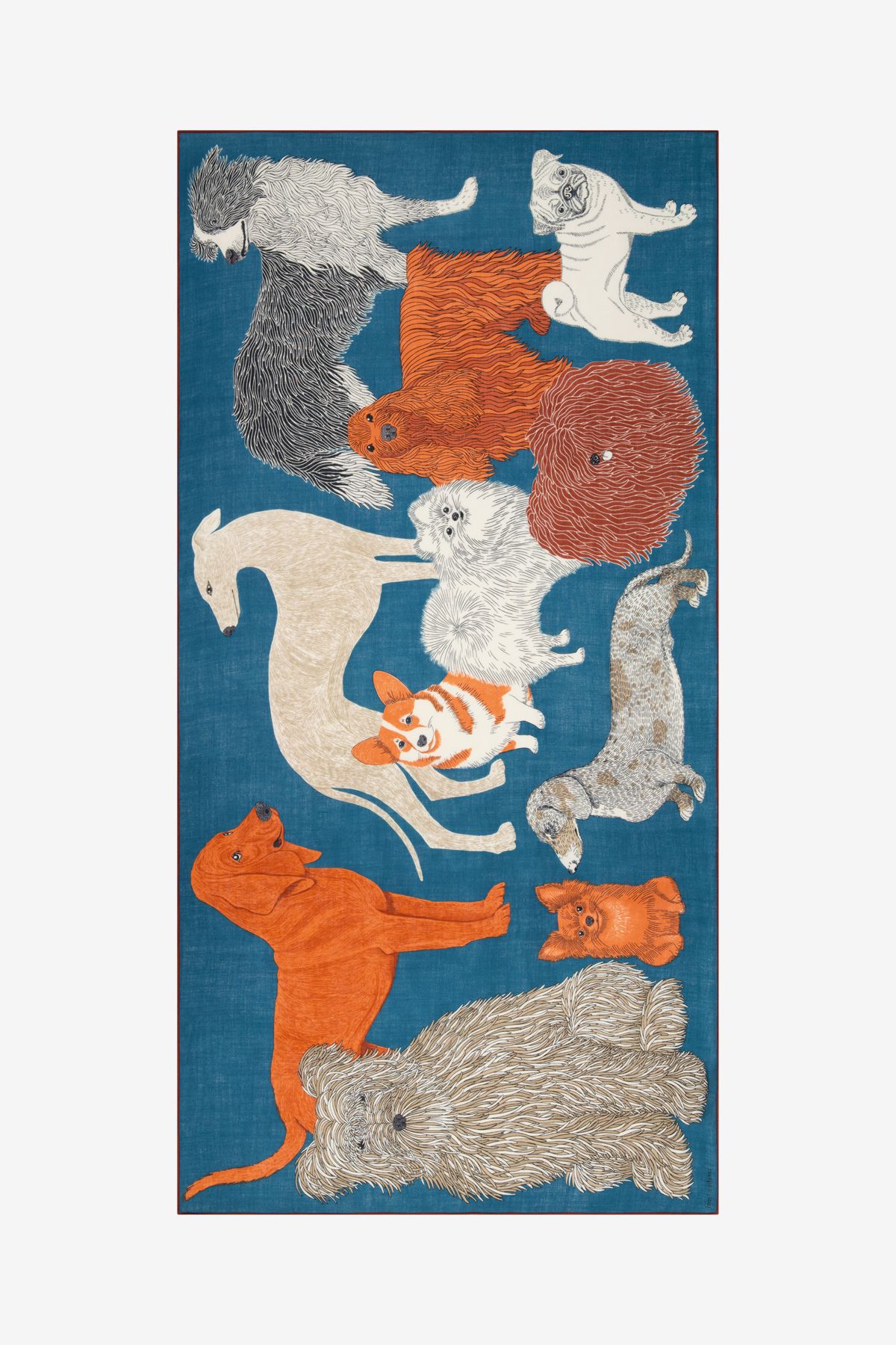 Écharpe 100 - Toutou - Bleu canard