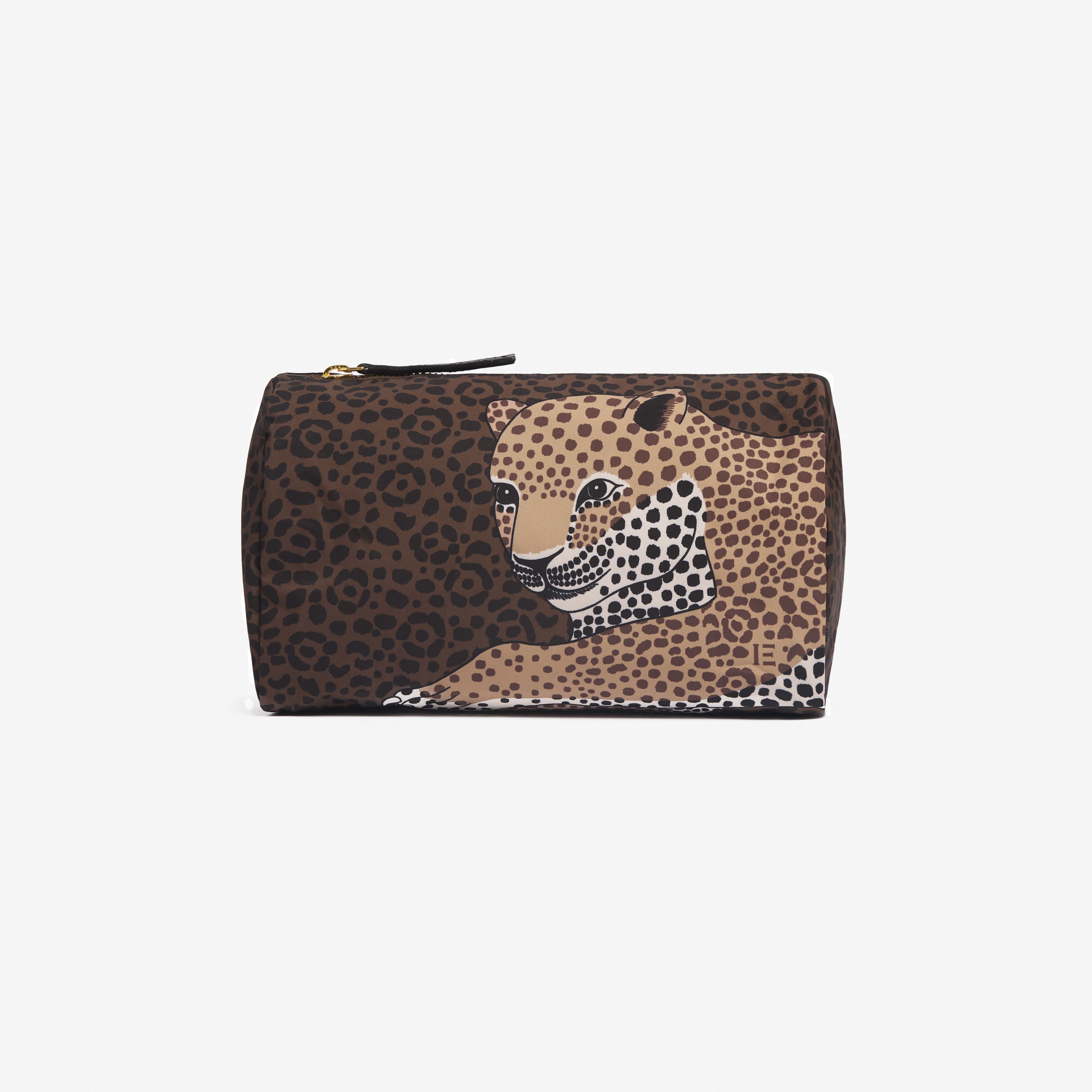 Case S - Felis - Brown