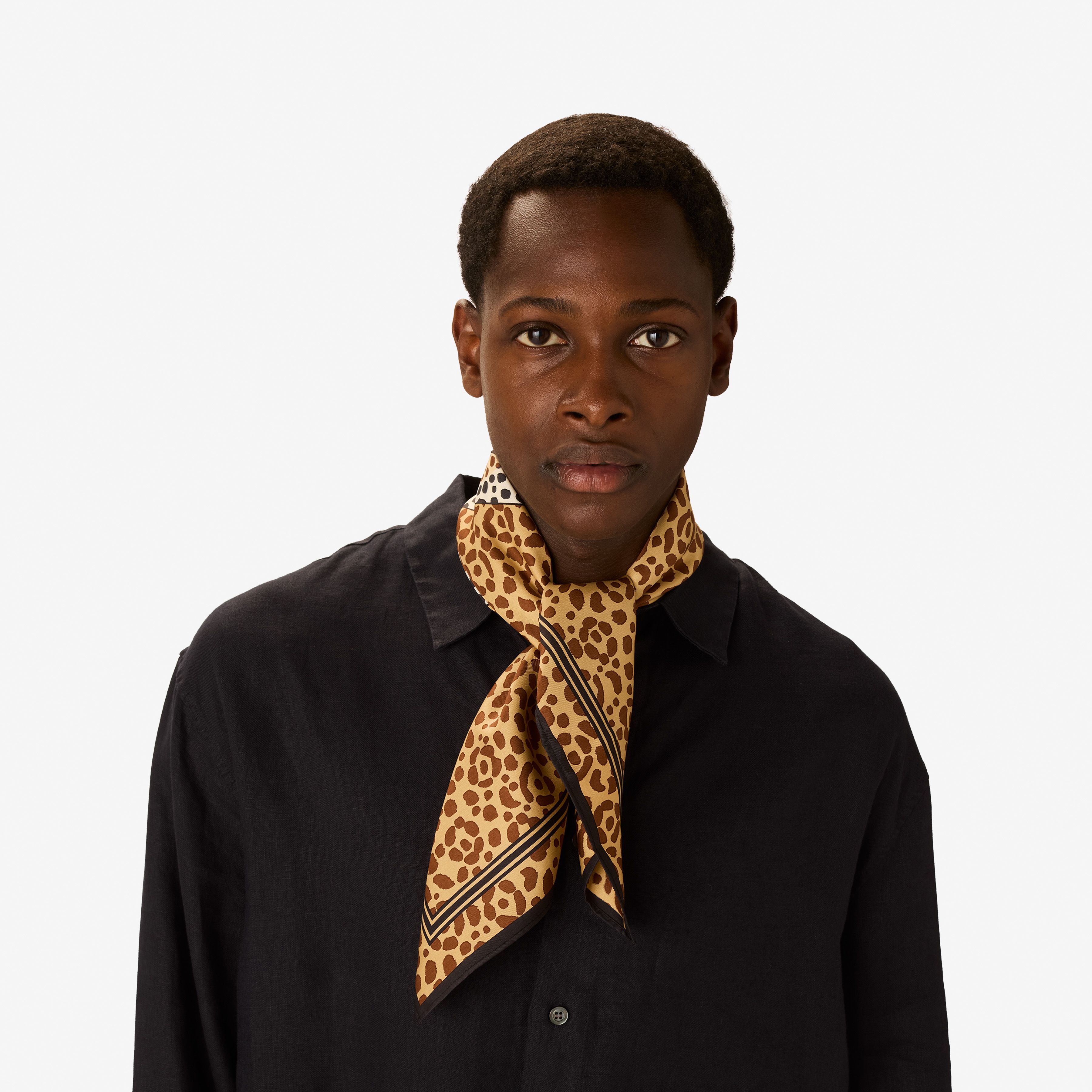 Carré 65 - Felis - Beige