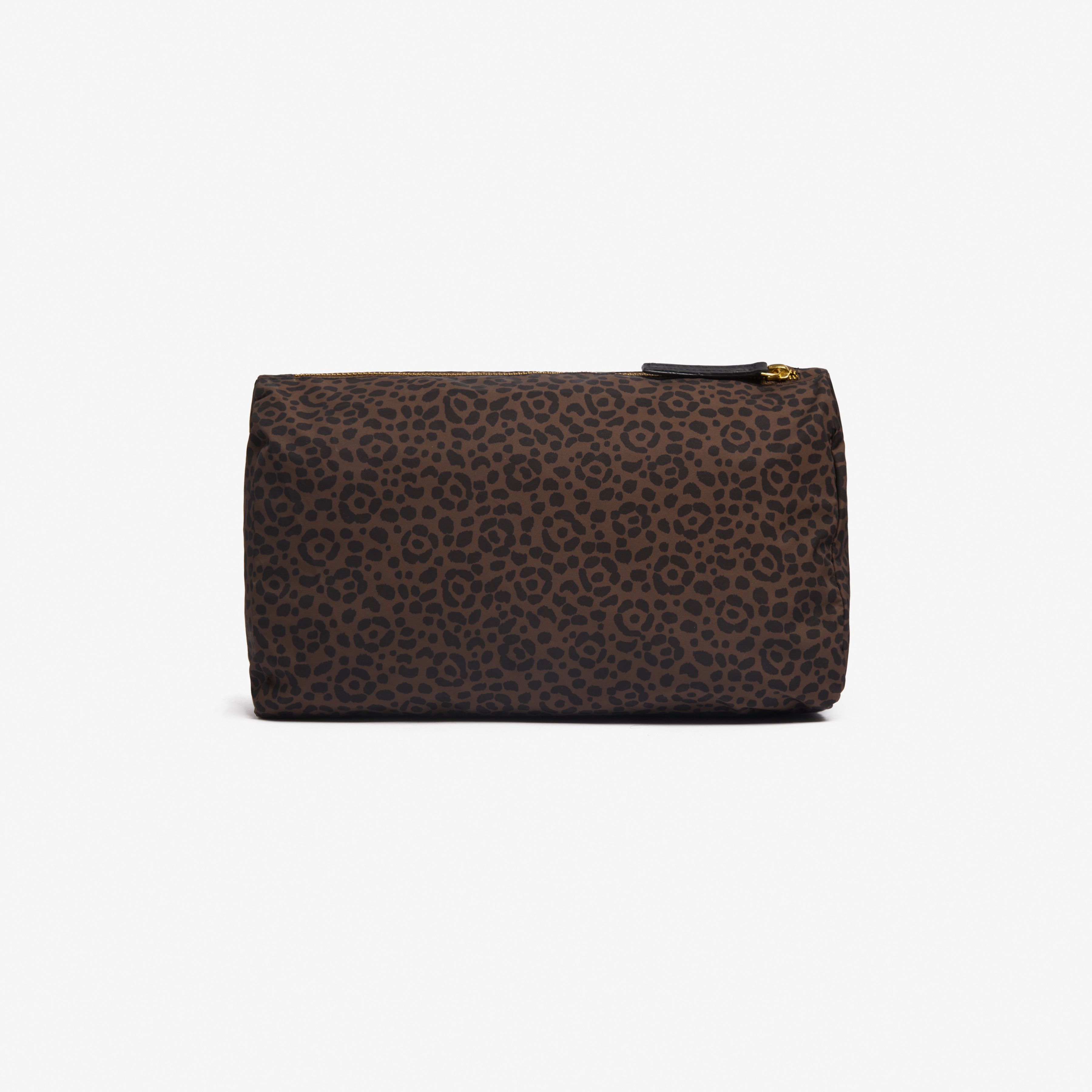 Case M - Felis - Brown