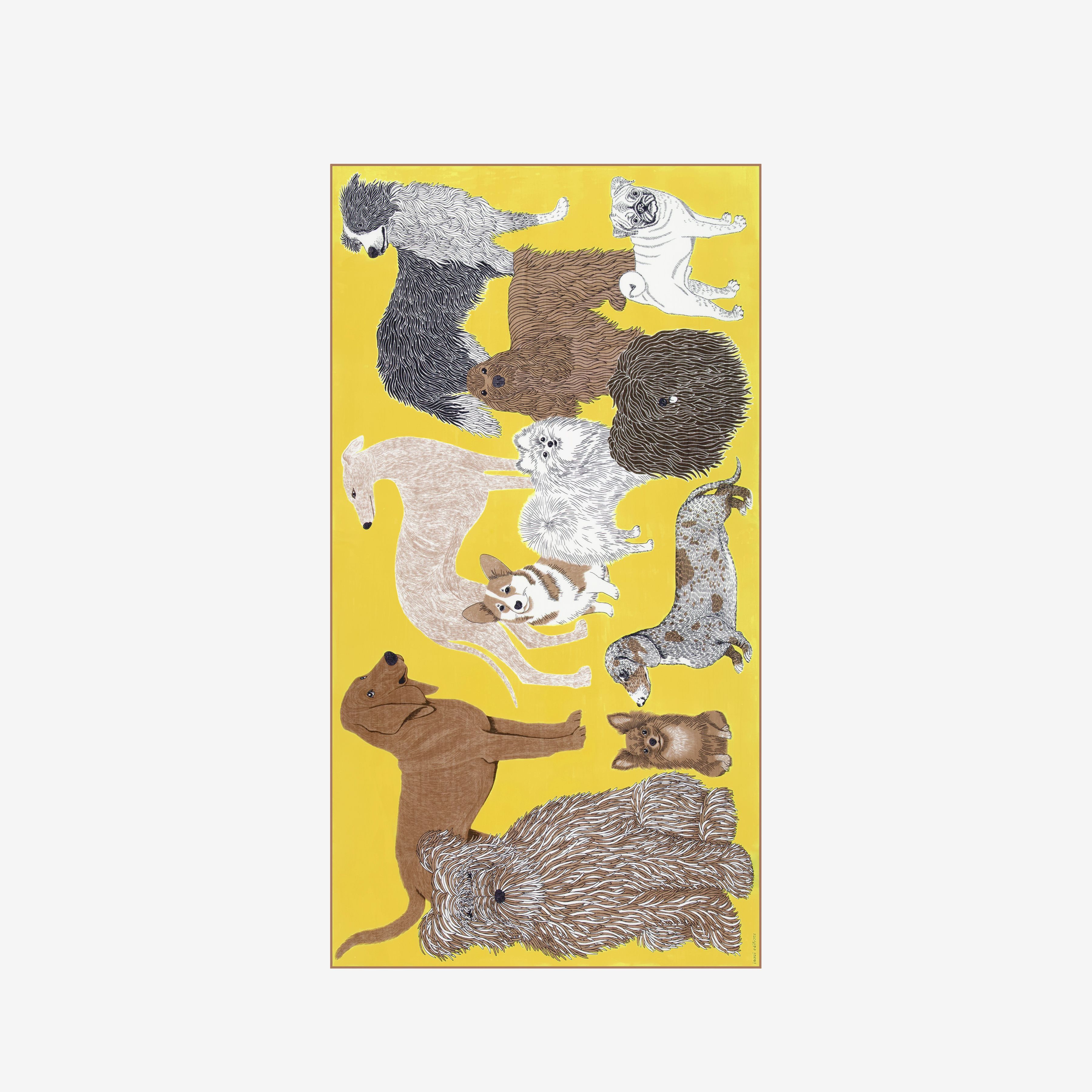 Écharpe 100 Coton - Toutou - Jaune