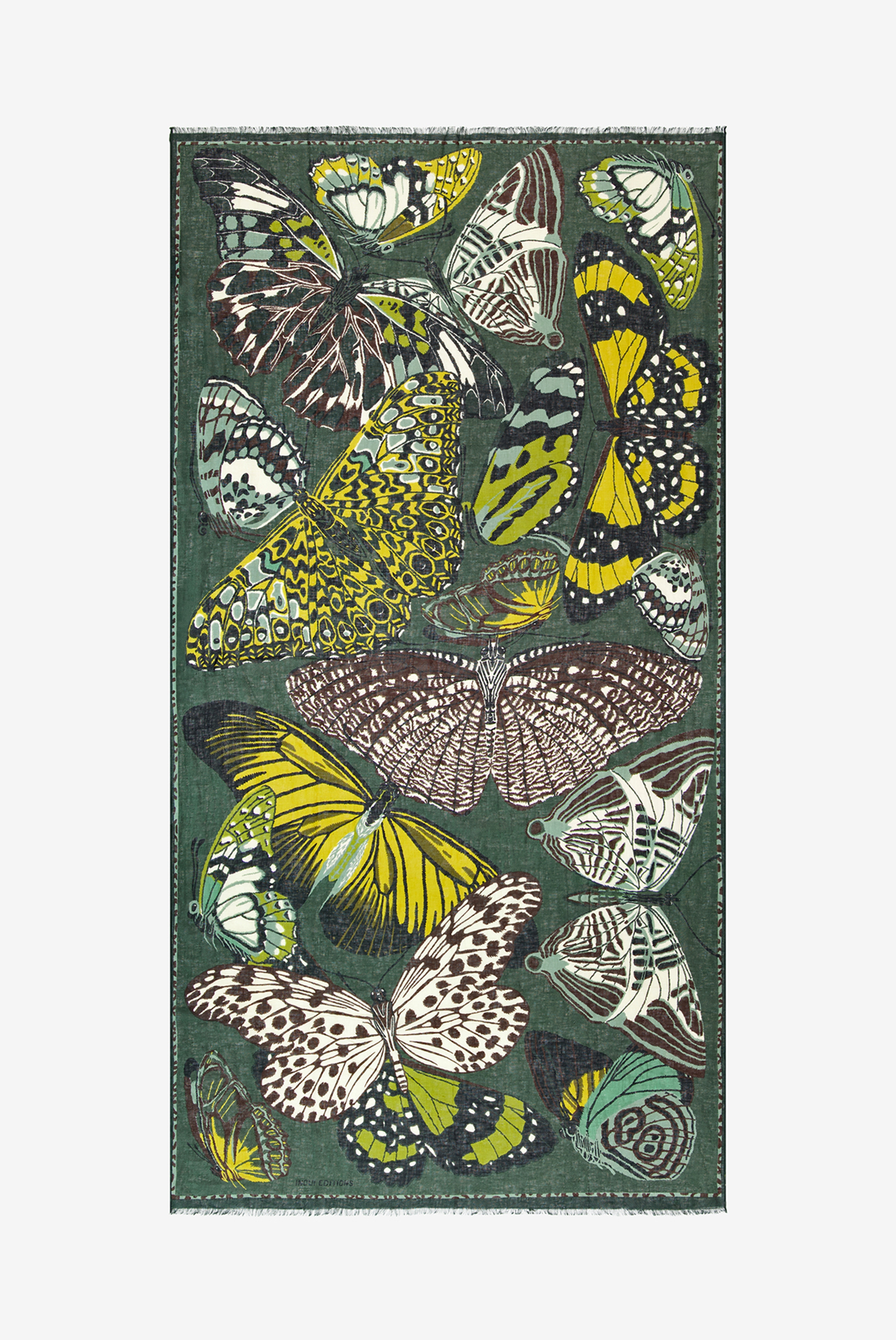 Écharpe 100 - Papillons - kaki