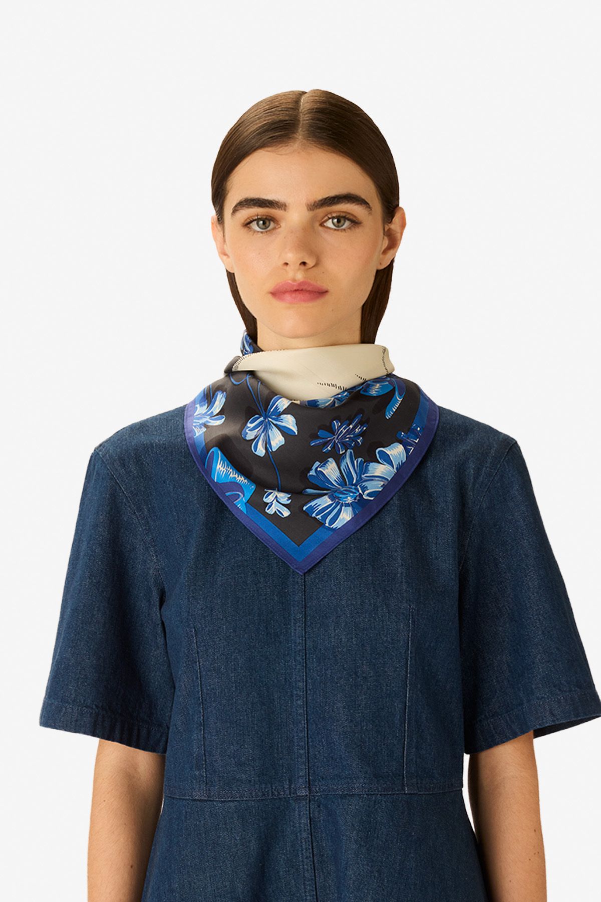 Carré 65 - Toutou - Bleu