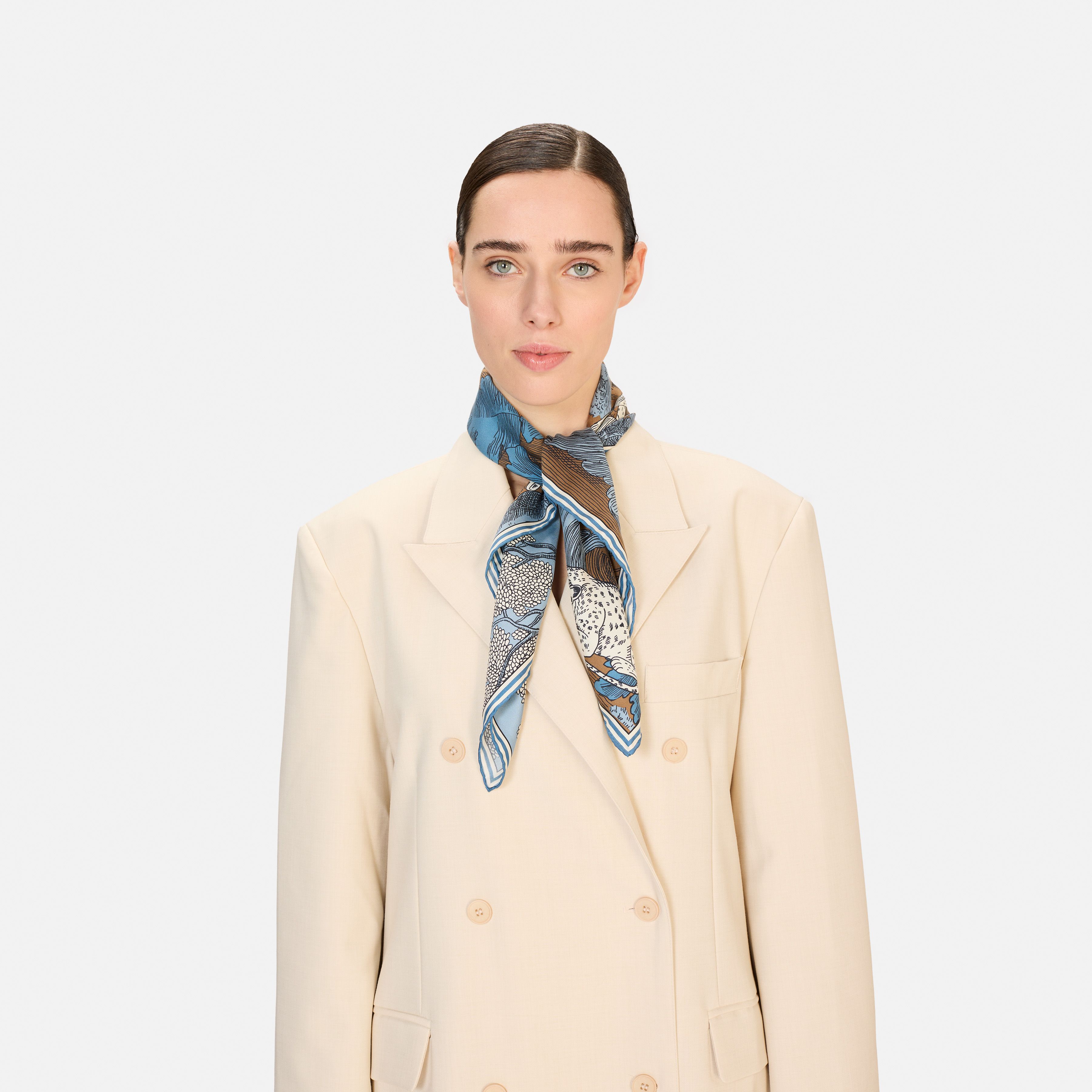 Pañuelo 70 - Histoire - Azul