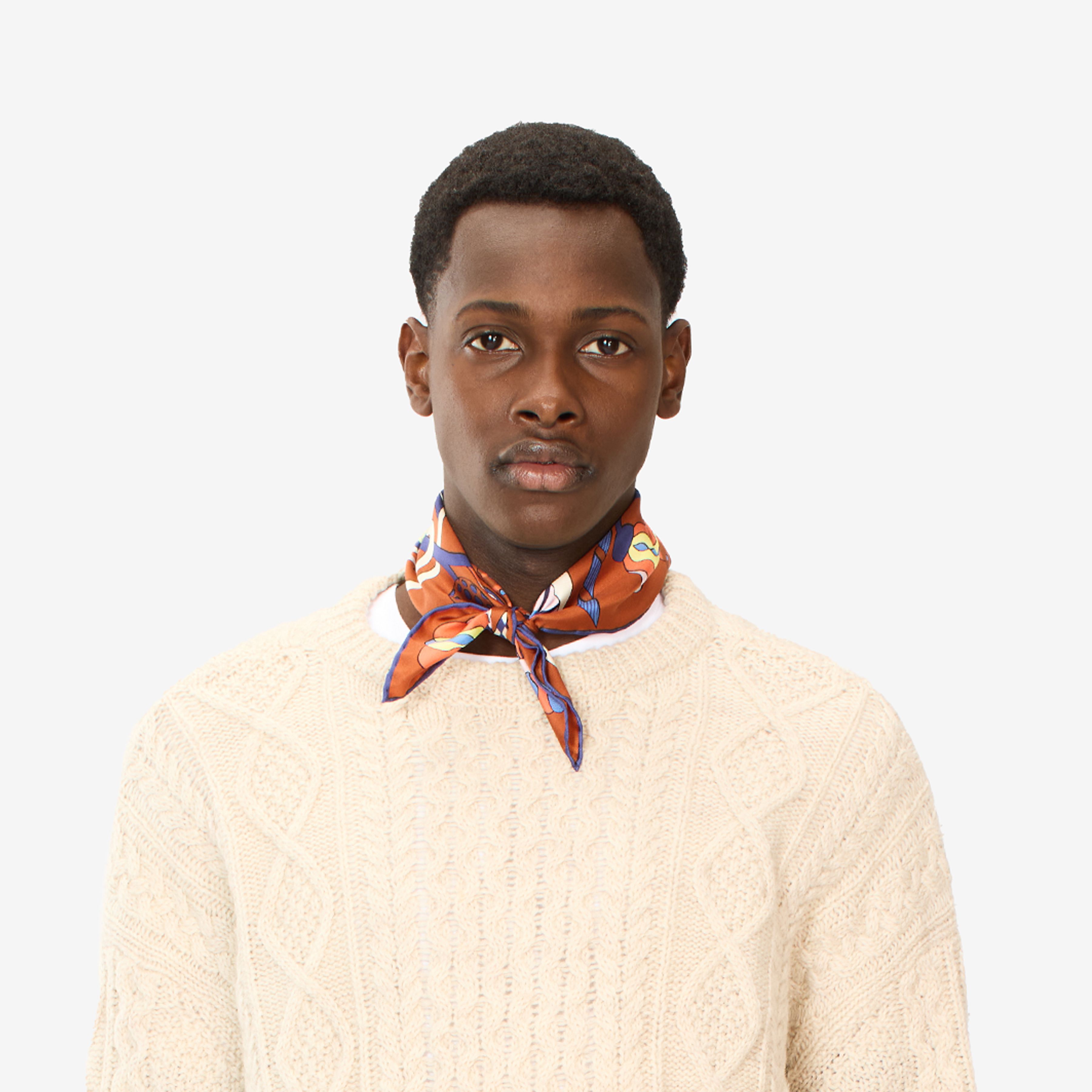 Square 45 - Botanique - Squirrel