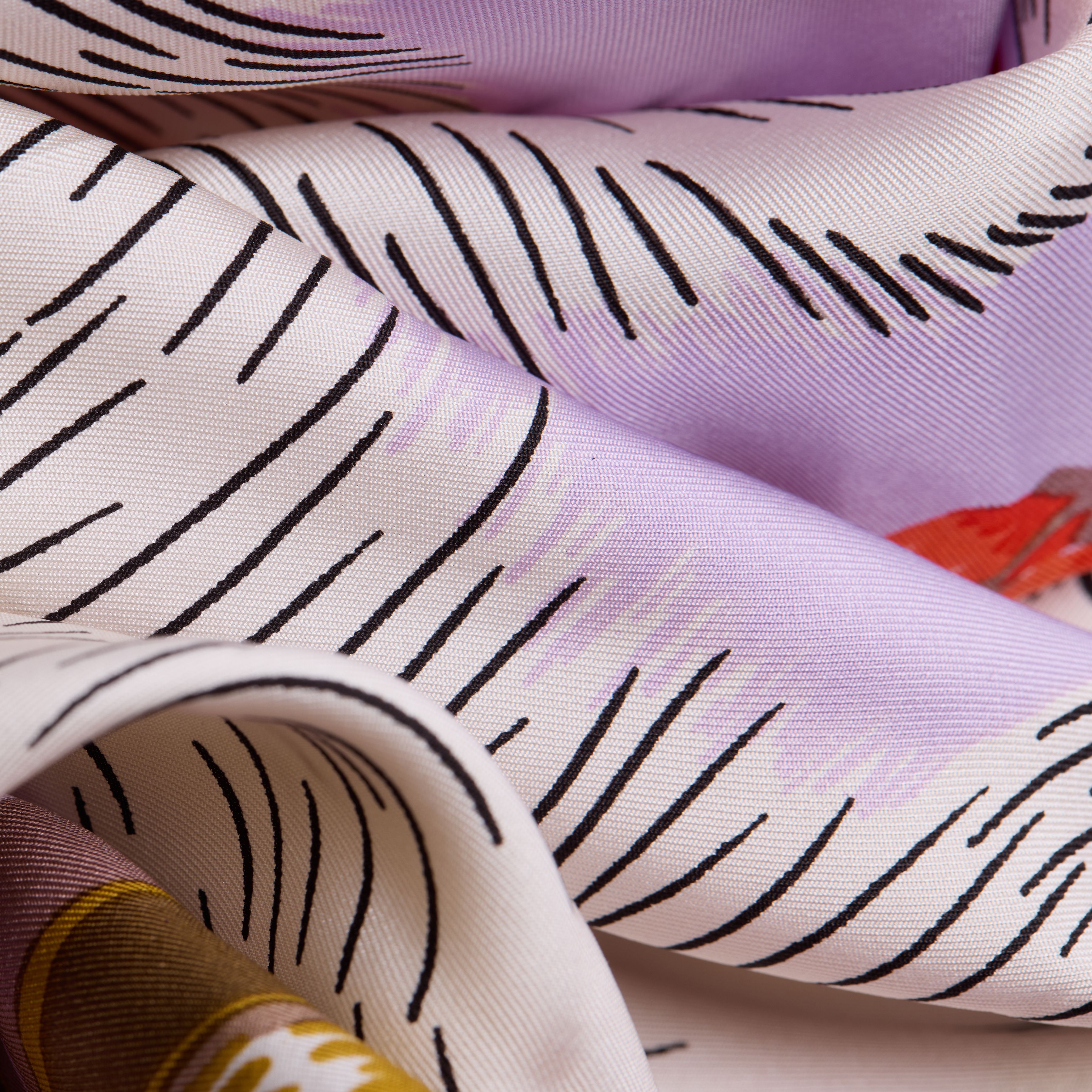 Carré 65 - Toutou - Parme