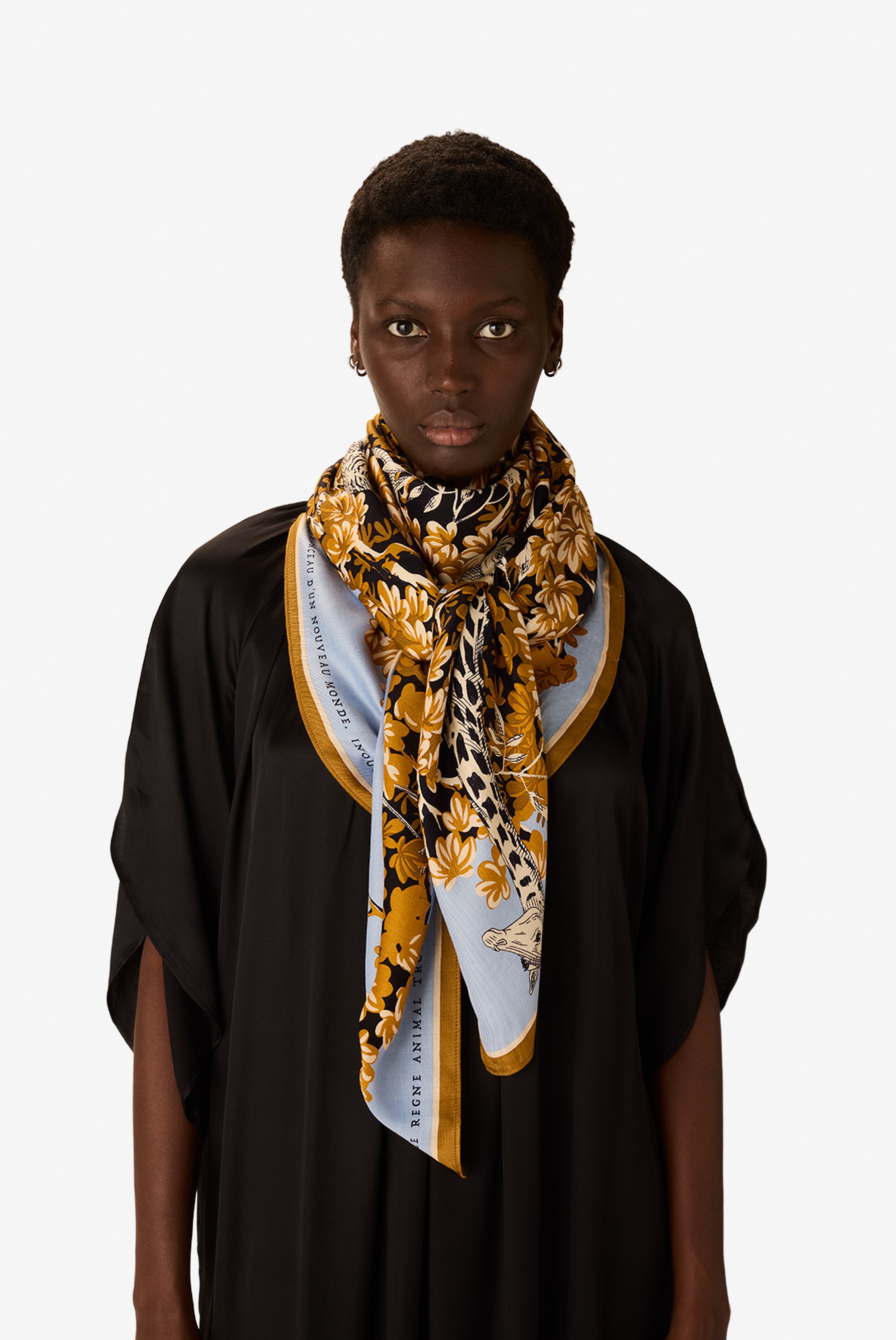 Carré 130 - Bestiaire - Mordoré