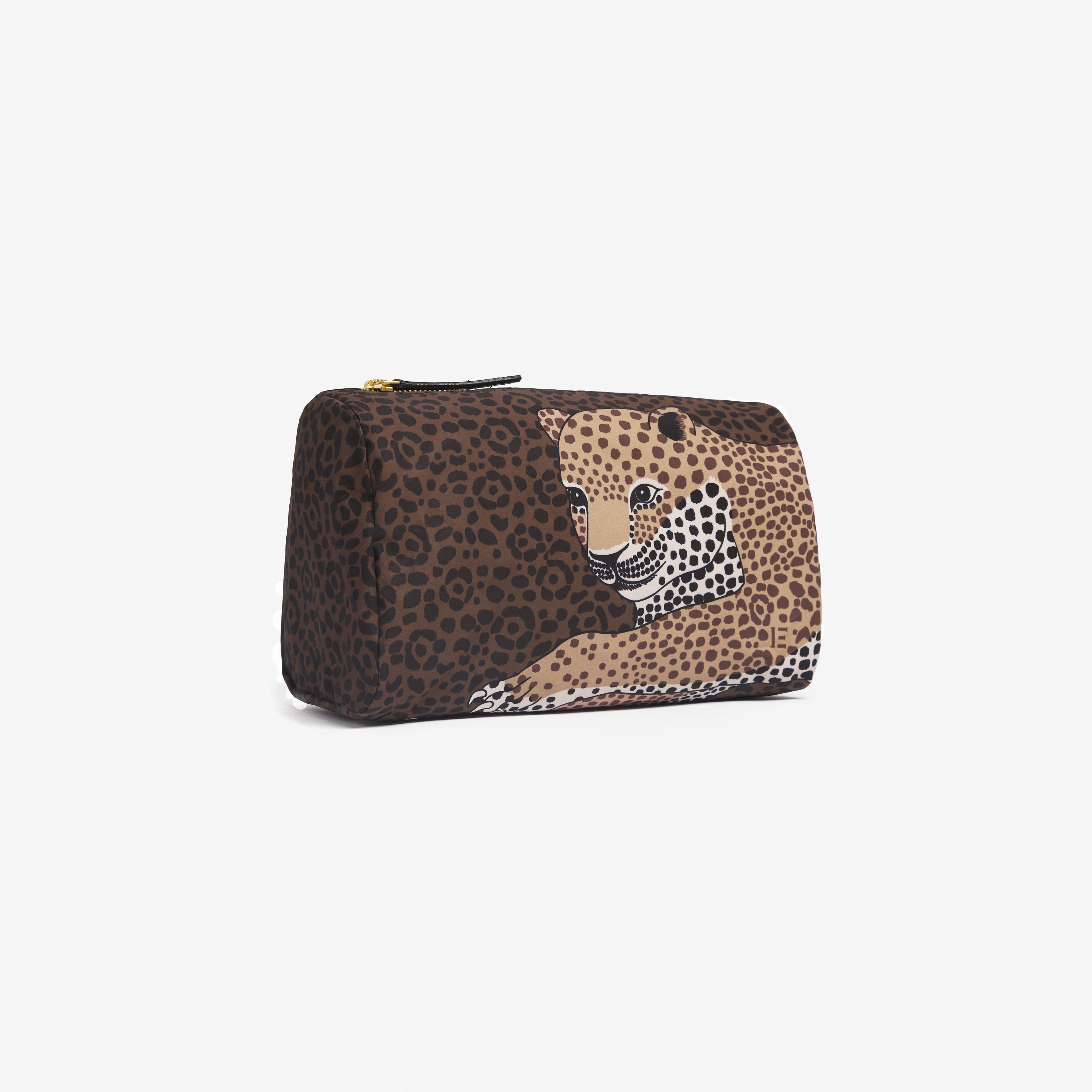 Case S - Felis - Brown