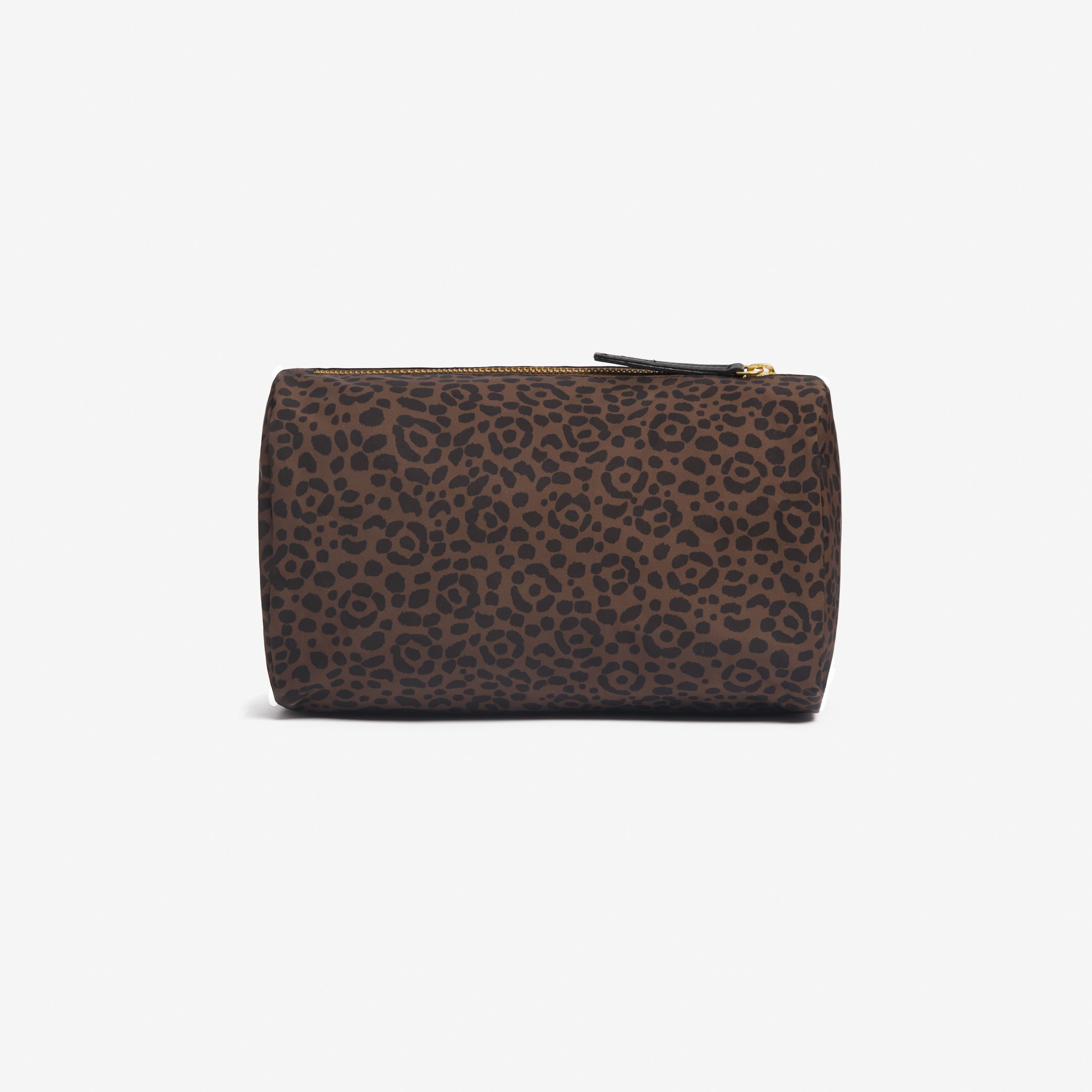 Case S - Felis - Brown