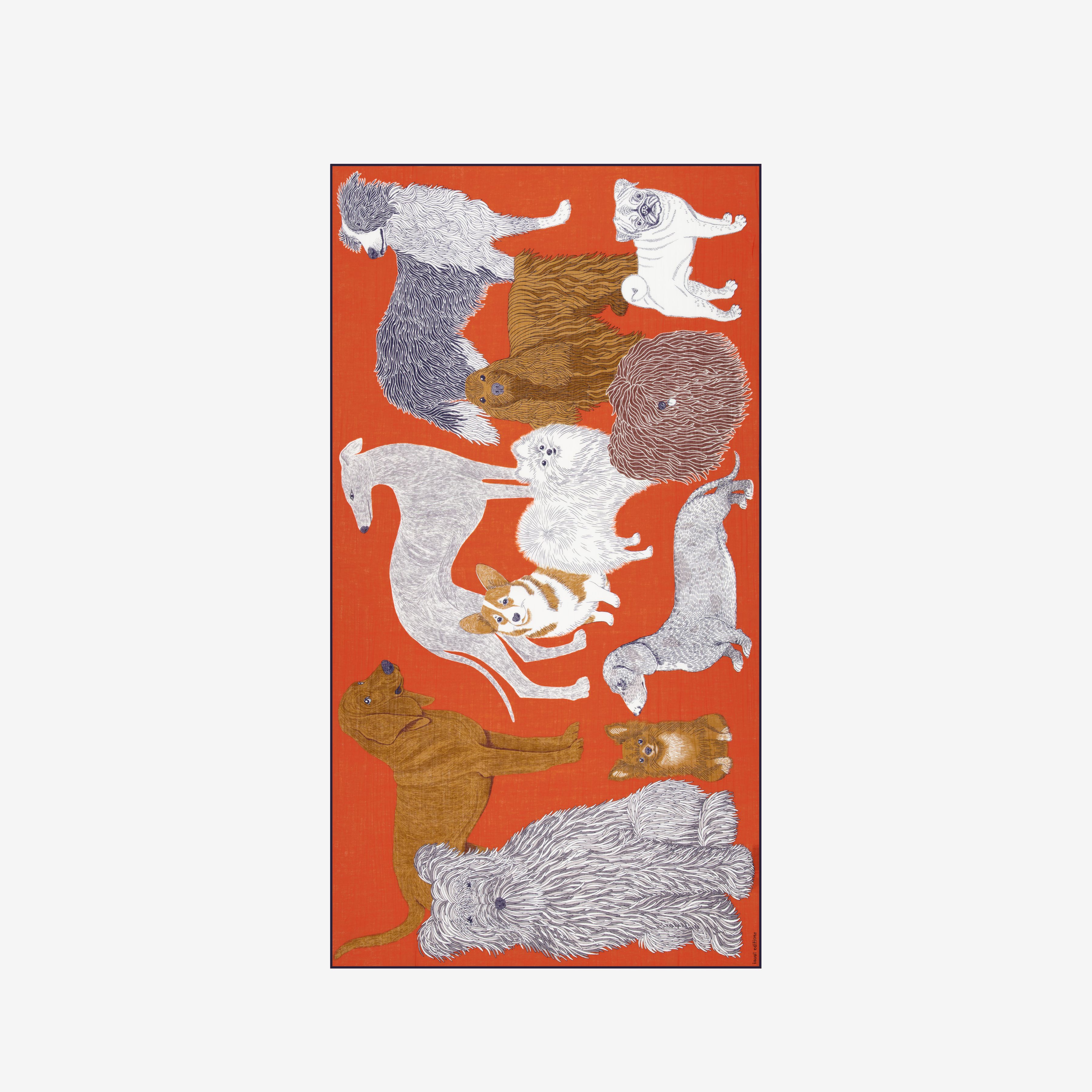 Écharpe 100 Coton - Toutou - Orange