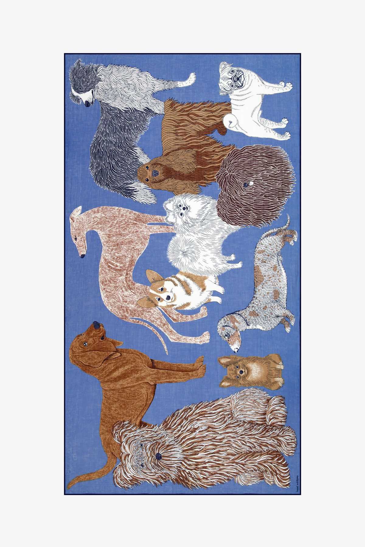 Écharpe 100 Coton - Toutou - Bleu